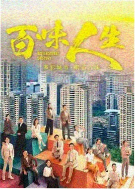 琪琪影视悬疑剧集雾港夜航封面